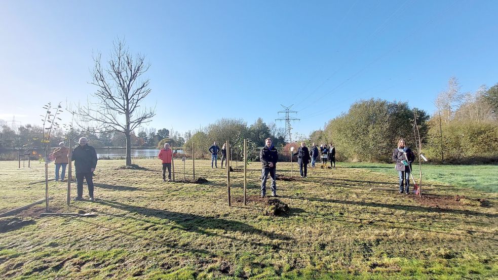 Gemeinsam pflanzten die Baumpaten „ihre“ Bäume in Grotegaste. Foto: Gemeinde Westoverledingen