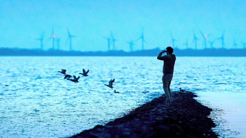 Ein Mann beobachtet Zugvögel, die über das Wattenmeer der Nordseebucht Jadebusen fliegen. Bei der 14. trilateralen Wattenmeerkonferenz in Wilhelmshaven wollen Vertreter der drei Anrainer Dänemark, Deutschland und der Niederlande von kommendem Montag an über ihre Zusammenarbeit für das Unesco-Weltnaturerbe beraten. Foto: Sina Schuldt/dpa