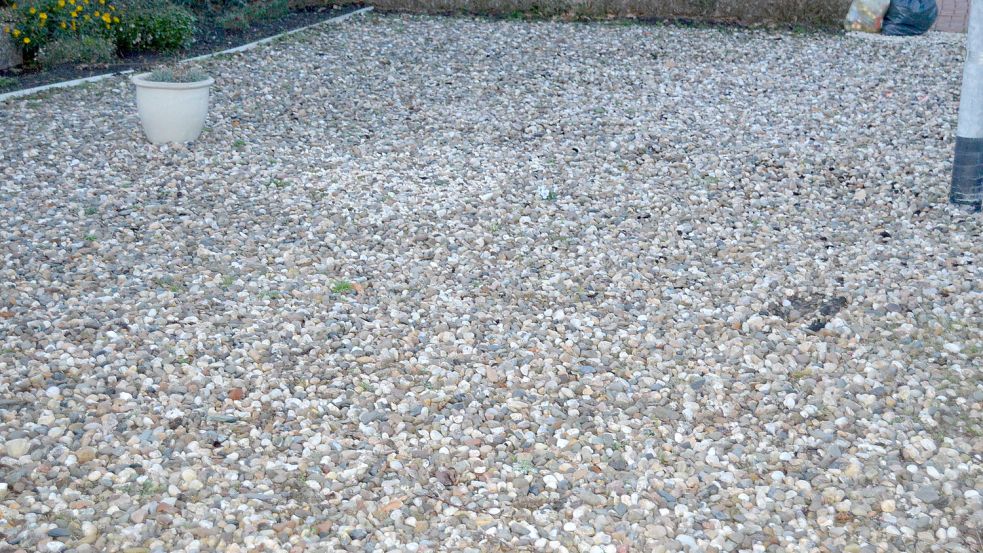 Das Thema Schottergärten ist umstritten. Foto: Weers
