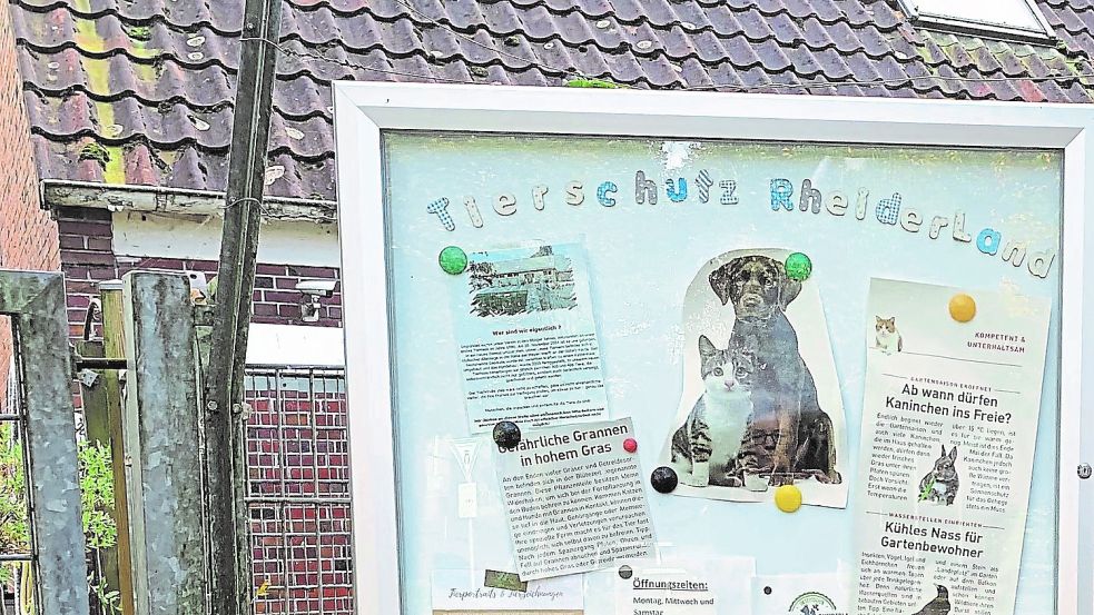 Das Tierheim in Stapelmoor sucht weiter Tierpfleger. Foto: Risius-Hartwig
