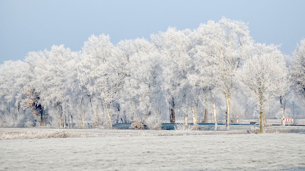 Dieses schöne Winterbild wurde zwischen Holterfehn und Potshausen aufgenommen. Foto: Zein