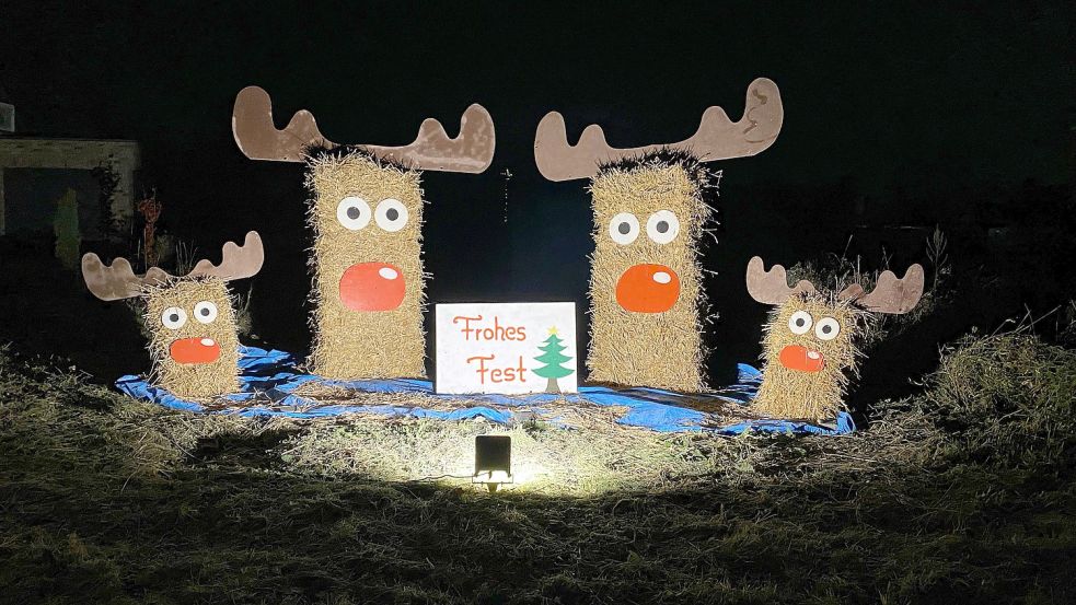 Die Familien Harms, Grüssing, Wilkens und Blank haben ihre Rentiere auf einer freien Fläche an der Papenburger Straße in Rhauderfehn wieder aufgestellt. Die weihnachtliche Deko ist ein beliebtes Fotomotiv. Foto: Privat
