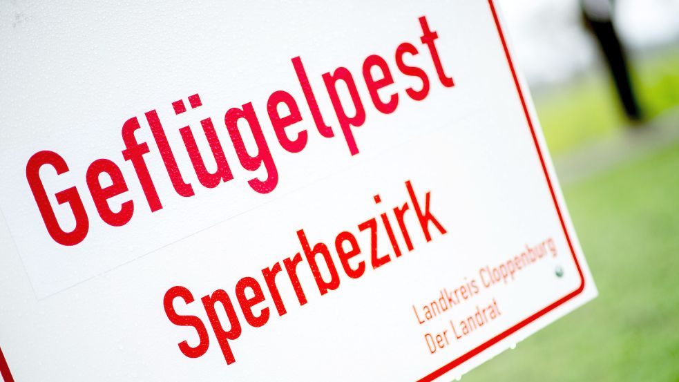 Um den Nutzgeflügelbestand mit dem positiven Virusnachweis in der Gemeinde Garrel werden ab Mittwoch, 21. Dezember, ab Mitternacht als Sperrzone eine Schutzzone (ehemals Sperrbezirk) und eine Überwachungszone (ehemals Beobachtungsgebiet) festgelegt. Das betrifft auch die Stadt Friesoythe. Foto: Dittrich/DPA