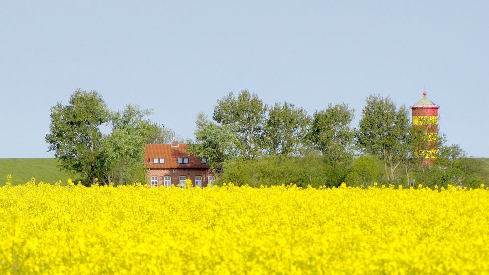 Ein Traum am Deich – mitten in der Natur: Das Leuchtturmwärterhaus in Pilsum, in das die Jüsches 1998 eingezogen sind.