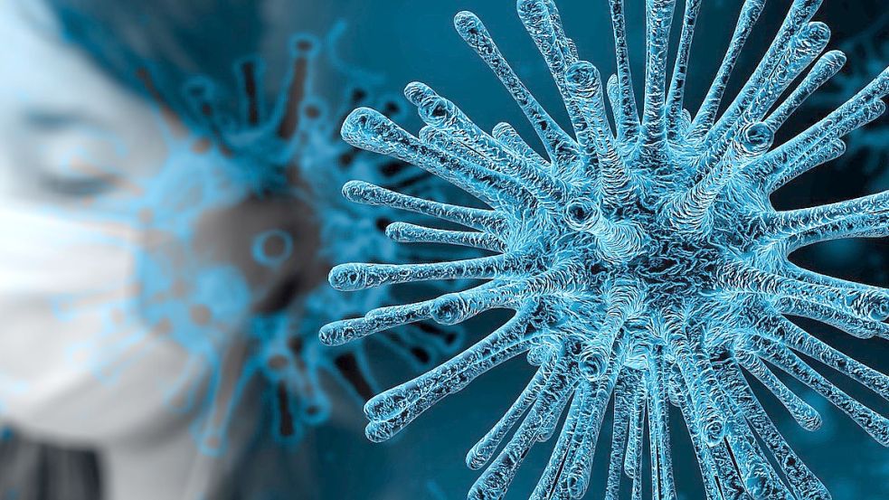 Die Corona-Infektionszahlen sind im Kreis Cloppenburg in der vergangenen Woche weiter gesunken. Das teilte die Kreisverwaltung mit. Foto: Pixabay