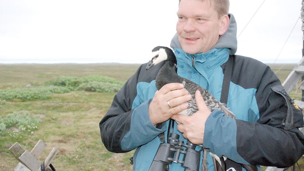Dr. Helmut Kruckenberg erforscht schon seit den 90er Jahren das Leben der arktischen Wildgänse und hat an der jetzt veröffentlichten Studie über die Langzeitfolgen der Böllerei auf die Tiere mitgewirkt. Foto: Privat
