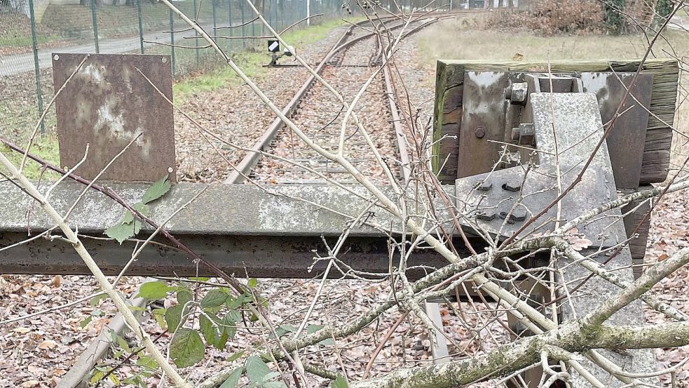 In Sedelsberg liegen noch die Gleise, die über Ramsloh und Barßel nach Ocholt und damit zur IC-Strecke nach Oldenburg führen. Foto: Stix
