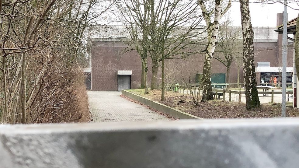 Das Dach der Sporthalle des Schulzentrums Collhusen leckt schon wieder. In den vergangenen zwei Jahren musste die Halle zwischendurch immer wieder gesperrt werden, weil Regenwasser in die Halle lief. Das ist jetzt wieder der Fall. Foto: Ammermann