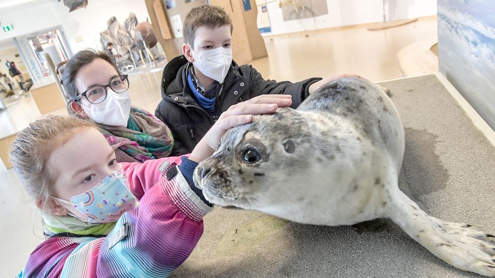 Die Nationalparkhäuser sind Touristenmagnete: Lena (links), Philipp (rechts) und Anna Heisters aus Mönchengladbach in der Seehundstation des Nationalparkhauses in Norddeich. Foto: Ortgies
