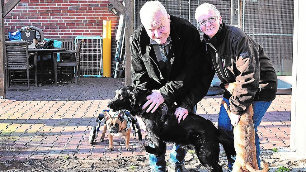 Peter und Angela Weidtmann müssen mit ihrem Gnadenhof aus Neudersum wegziehen. Fotos: Kothe