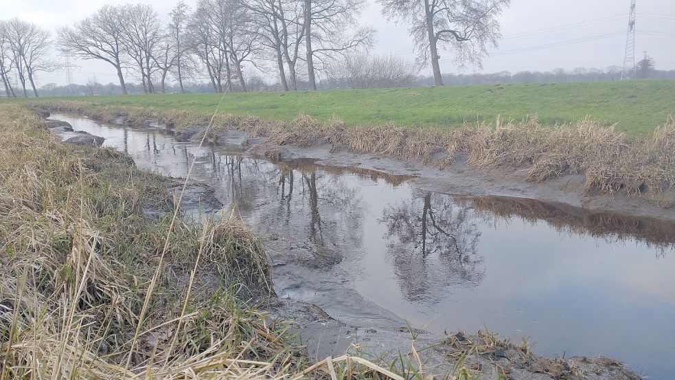 Viel Schlick, wenig Wasser: Der Kanal ist derzeit nicht besonders ansehnlich. Foto: Rümmele