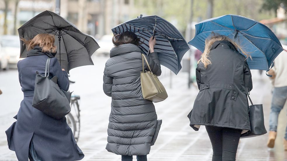 Wer in der neuen Woch einen Regenschirm mitnimmt, sollte diesen gut festhalten: Es wird in ganz Deutschland stürmisch. Foto: dpa/Boris Roessler