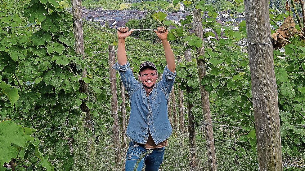 Winzer mit Wurzeln in Papenburg: Paul Hartung in seinem gepachteten Weinberg bei Koblenz. Foto: Hartung