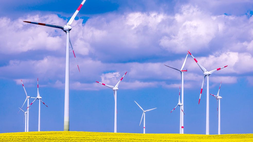 In Niedersachsen stehen bereits jetzt so viele Windkraftanlagen wie in keinem anderen Bundesland. Und es sollen noch viel mehr werden. Foto: dpa/Jens Büttner