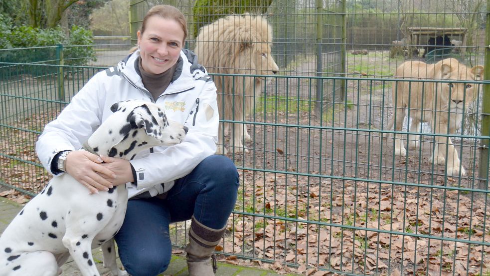 Alexandra Grothaus vor dem Löwengehege. Die Wildkatzen und Dalmatiner Cooper, den die Parkchefin im Arm hält, reagieren interessiert aufeinander. Foto: Fertig