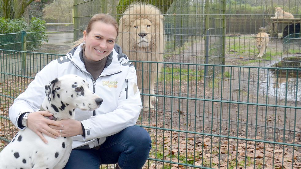 Tierpark-Chefin Alexandra Grothaus mit ihrem Dalmatiner Cooper vor dem Löwengehege. Löwe Spike blickt skeptisch. Fotos: Fertig