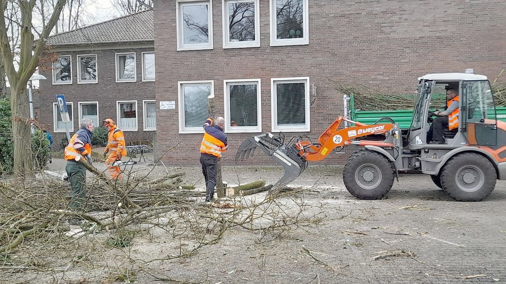 Baumschnitt-Arbeiten wie hier beim Rathaus werden auch weiterhin von Mitarbeitern des Bauhofs erledigt. Foto: Passmann