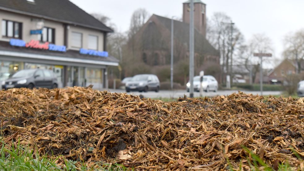 An der Hauptstraße in Ostrhauderfehn wurden am Samstag mehrere Bäume entfernt. Diese Arbeiten wurden notwendig, weil die Straße demnächst erneuert werden soll. Foto: Zein