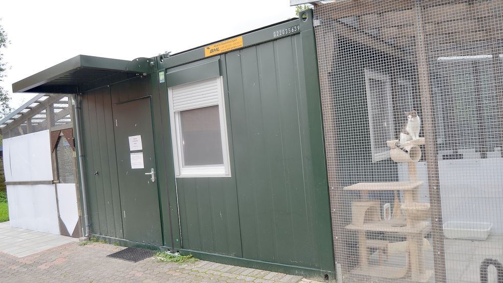 Trotz der Katzencontainer, die 2020 aufgestellt wurden, sind alle Gehege für Katzen seit Monaten voll belegt. Größere Räumlichkeiten sind dringend erforderlich, um dem Tierschutz Genüge zu tun. Foto: Fertig