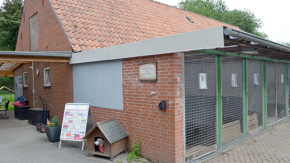 Die Bausubstanz der Tierheimgebäude ist stark sanierungsbedürftig. Zudem ist das Tierheim oft überbelegt.