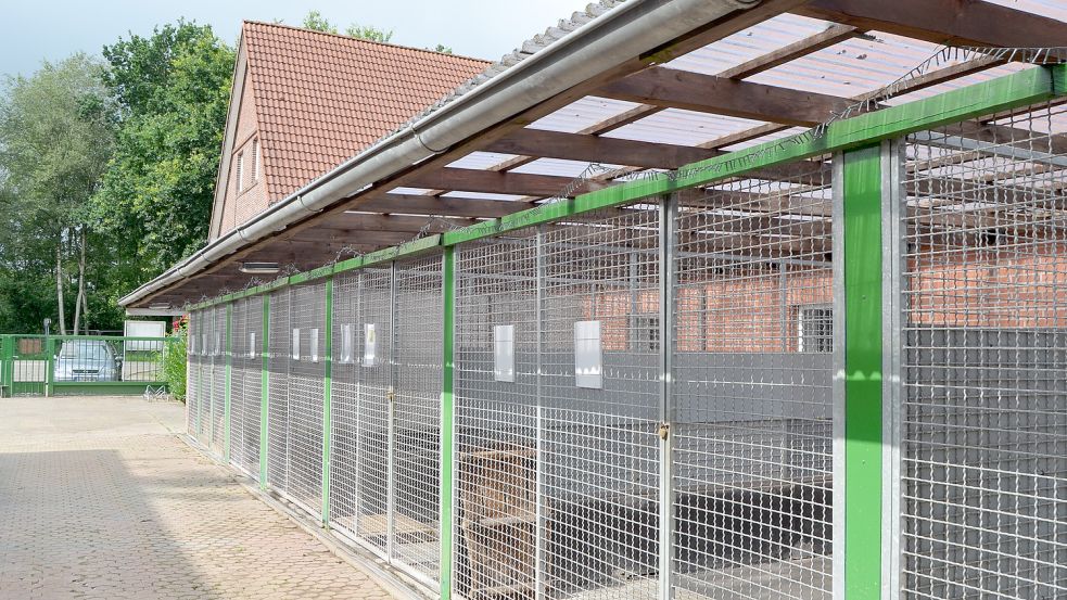 Die alten Hundezwinger sollen abgerissen und durch einen Neubau ersetzt werden. Auch die Katzen sollen künftig in einem neu zu errichtenden Gebäude untergebracht sein.