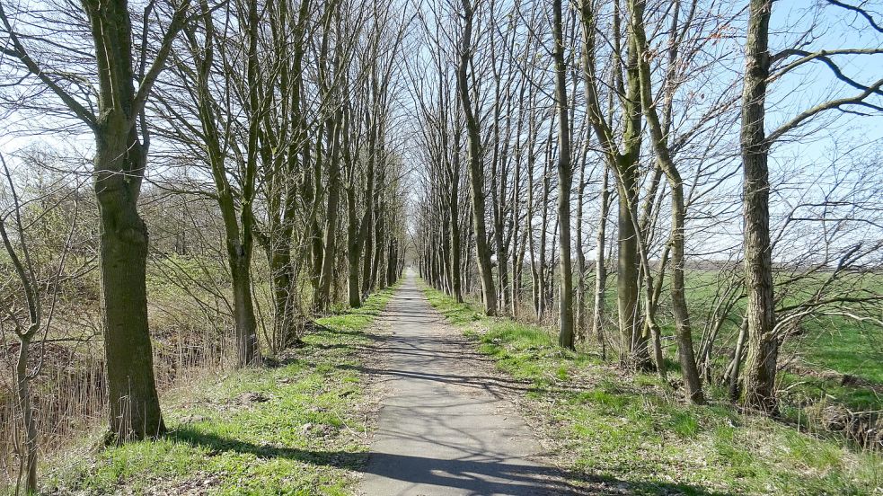 Der Radweg soll verbreitert werden, damit sich Gegenverkehr unproblematisch begegnen kann. Foto: Gemeinde Westoverledingen