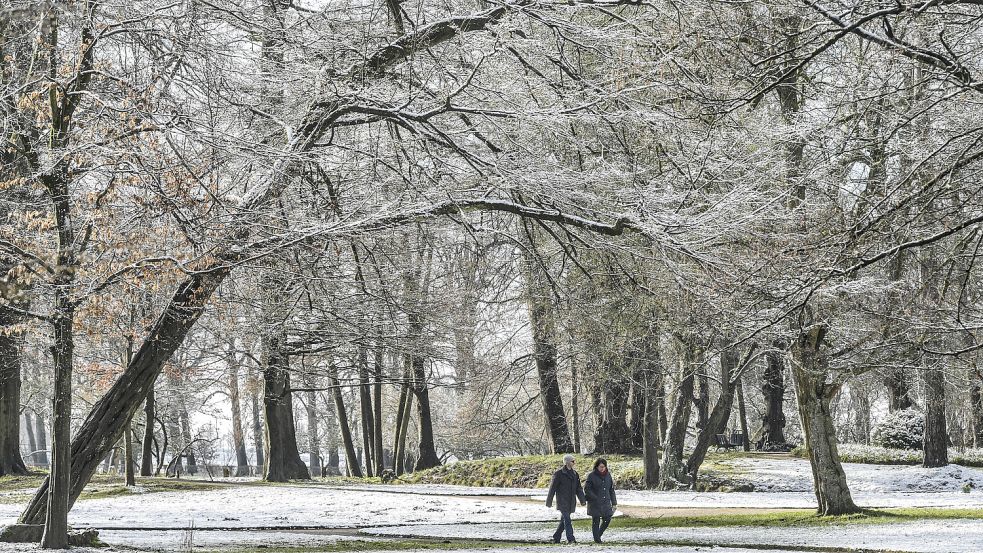 Im Evenburgbark sah der gefallene Schnee regelrecht märchenhaft aus. Foto: Ortgies