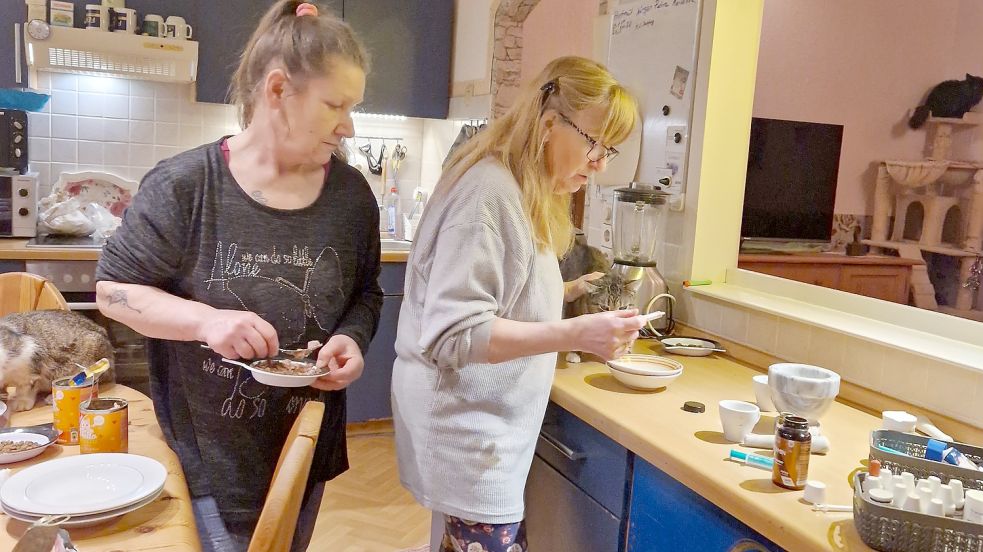 Petra Wolf (links) und Marianne Görs müssen einigen Katzen auch Medikamente verabreichen. Foto: Gettkowski