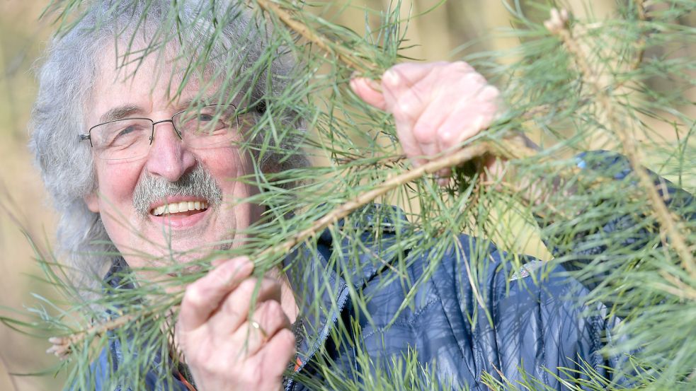Karl-Heinz Peper kennt sich mit den heimischen Heilpflanzen aus und gibt sein Wissen bei Führungen im Heseler Wald weiter. Das will ihm die Firma Waldwohl nun untersagen. Foto: Ortgies