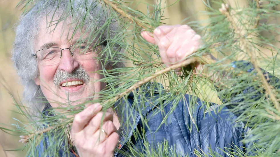 Karl-Heinz Peper kennt sich mit den heimischen Heilpflanzen aus und gibt sein Wissen bei Führungen im Heseler Wald weiter. Das will ihm die Firma Waldwohl nun untersagen. Foto: Ortgies