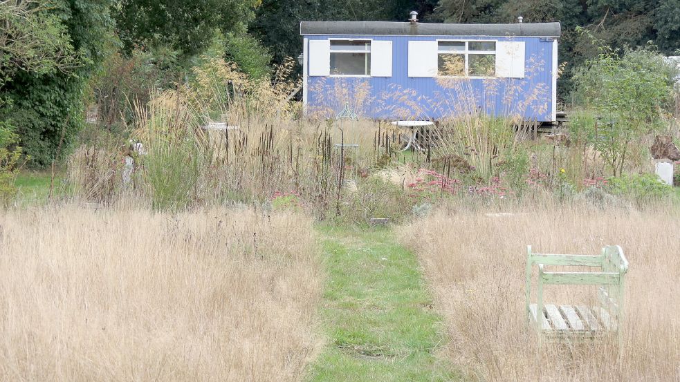 Es muss nicht immer alles ganz akkurat kurz gemäht werden: Eine Wiese im September mit vielen verschiedenen Gräserarten im Latüt-Garten. Foto: Behrends-Lüürßen
