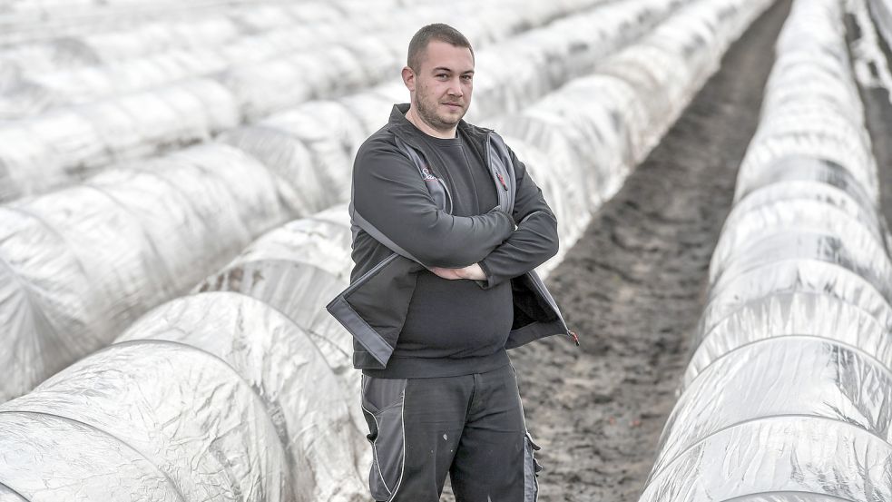 Daniel Santen baut seit Jahren in Diele (Stadt Weener) Spargel an. Foto: Ortgies/Archiv