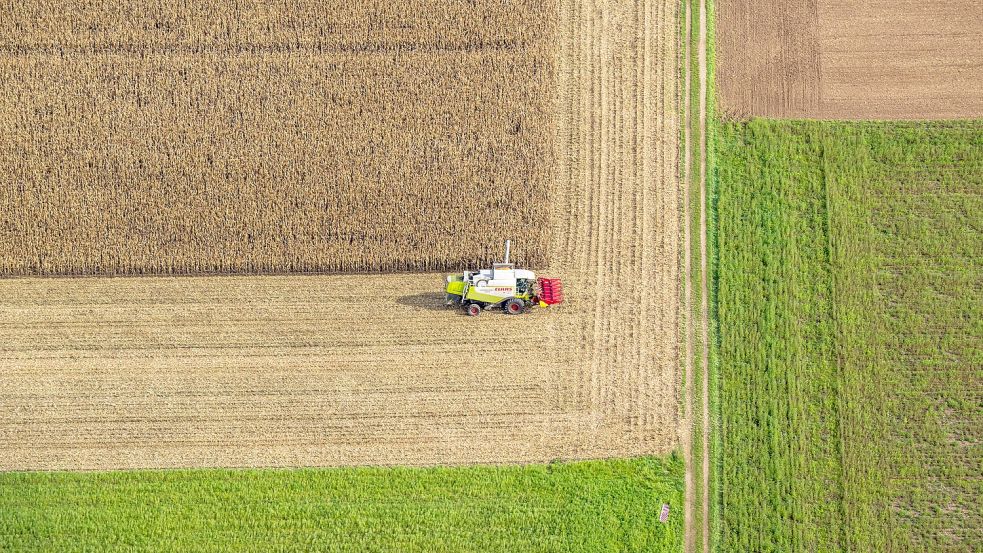 Die CDU/CSU-Fraktion will dafür sorgen, dass in Deutschland weniger Flächen stillgelegt werden müssen Foto: dpa/Peter Kneffel