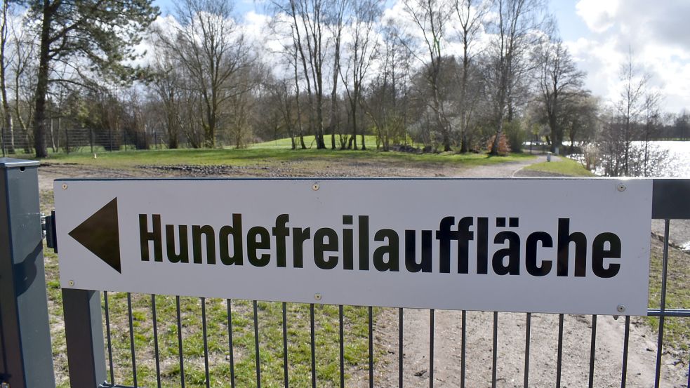Seit einigen Monaten gibt es eine Freilauffläche für Hunde auf der östlichen Seite des Idasees.