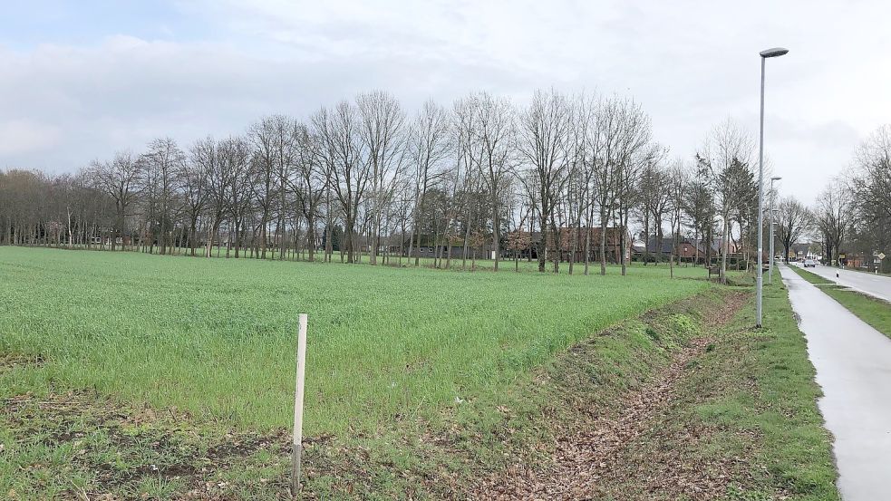 Auf noch landwirtschaftlich genutzten Flächen an der Hauptstraße soll nach Angaben von Edeka der Neubau entstehen.