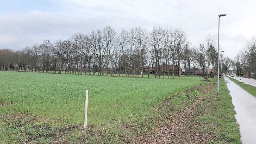 Am Ortsrand von Sedelsberg plant die Edeka-Regionalgesellschaft einen Neubau. Es müssen noch etliche Gespräche geführt werden, sagt Bürgermeister Thomas Otto. Foto: Fertig