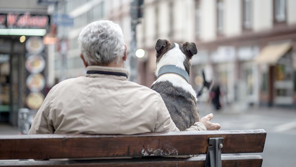 Wenn der Hund zum besten Freund wird: Viele Menschen in Niedersachsen haben kaum soziale Kontakte. Foto: Frank Rumpenhorst/dpa