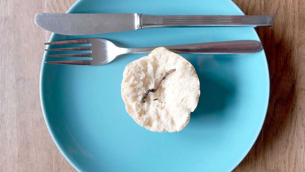 Wer Regenwürmer isst, gilt hierzulande als mutig. Foto: Pixabay