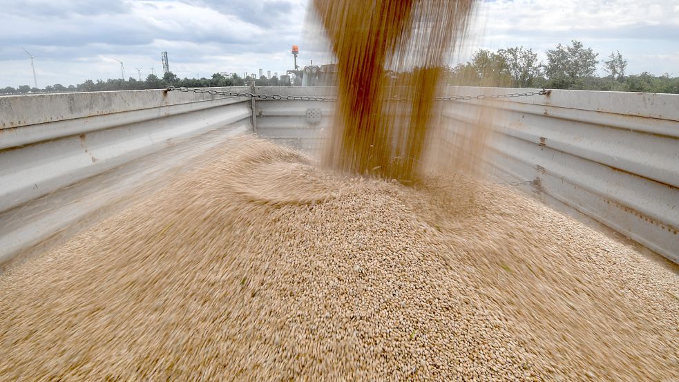 Östliche EU-Länder fordern Lösung für ukrainische Agrarexporte. Foto: dpa/Patrick Pleul