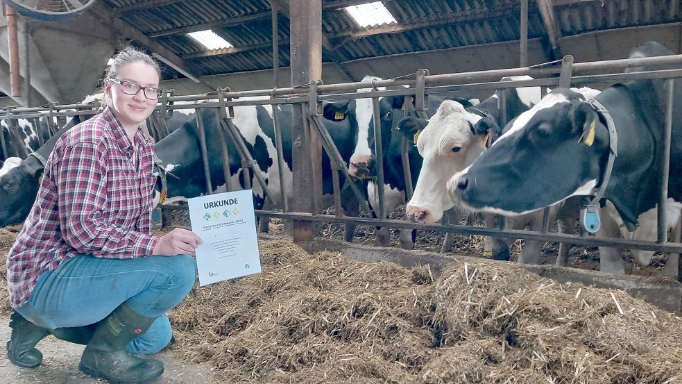 Nancy Schumacher arbeitet gerne mit Kühen wie hier auf ihrem Ausbildungshof Meinders in Backemoor. Später möchte sie auch ihre eigenen haben. Foto: Scherzer
