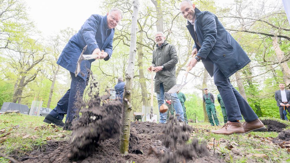 Ministerpräsident Stephan Weil (SPD, links) wird zwar zum Festakt für das 200-jährige Stadtjubiläum erwartet. Einen Baum pflanzen wird er aber voraussichtlich nicht. Das sollen Leeraner Bürger tun, wünscht sich die CDU. Foto: Stratenschulte/dpa