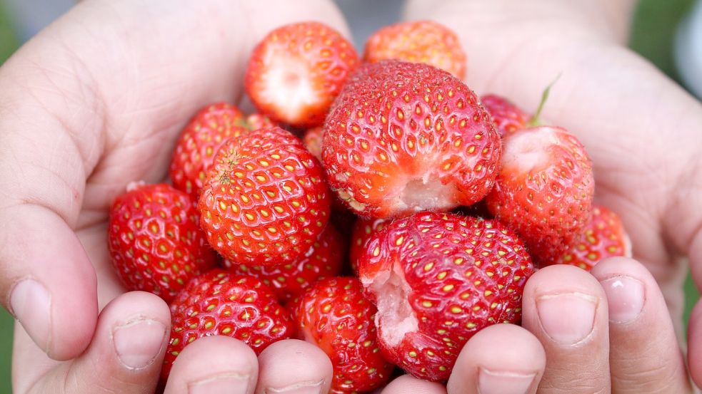 Erdbeeren wollten alle, zahlen dafür aber nicht. Foto: Pixabay