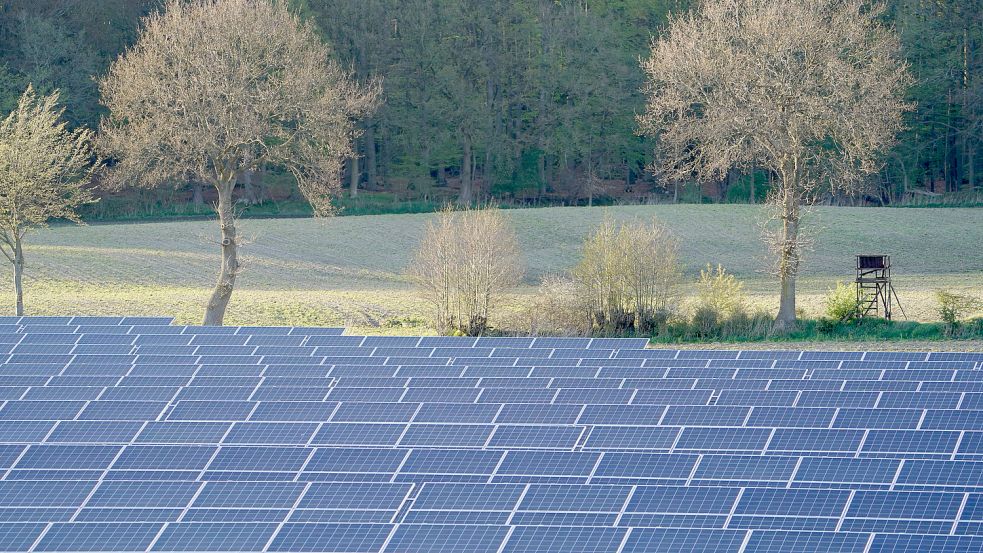 Entlang von Autobahnen und Bahnstrecken könnten größere Solarparks entstehen. Symbolfoto: Brandt/dpa
