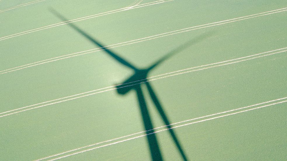 Allenfalls für einzelne Windräder gibt es offenbar in Leer noch Platz. Symbolfoto: Brandt/dpa