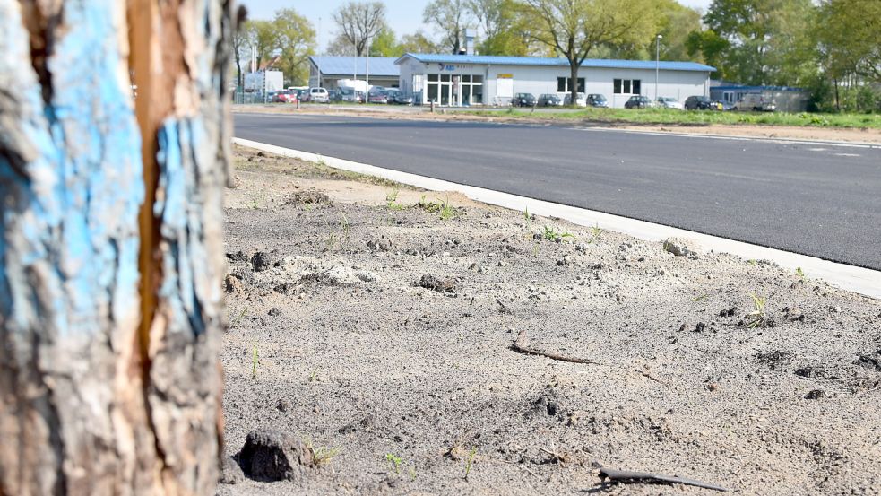 Die Straße für das neue Gewerbegebiet ist quasi fertig. Foto: Wehry