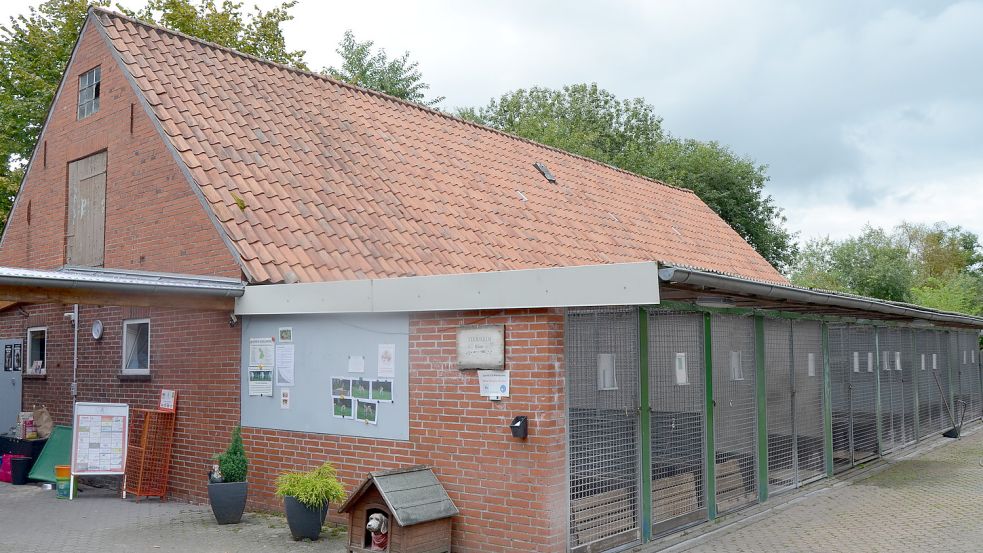 Im Tierheimzwinger zu sein, ist nicht schön für die junge Hündin. Sie braucht ungeteilte Zuwendung. Im Tierheim Sedelsberg sind neben Freeda derzeit noch 14 weitere Hunde untergebracht. Foto: Fertig