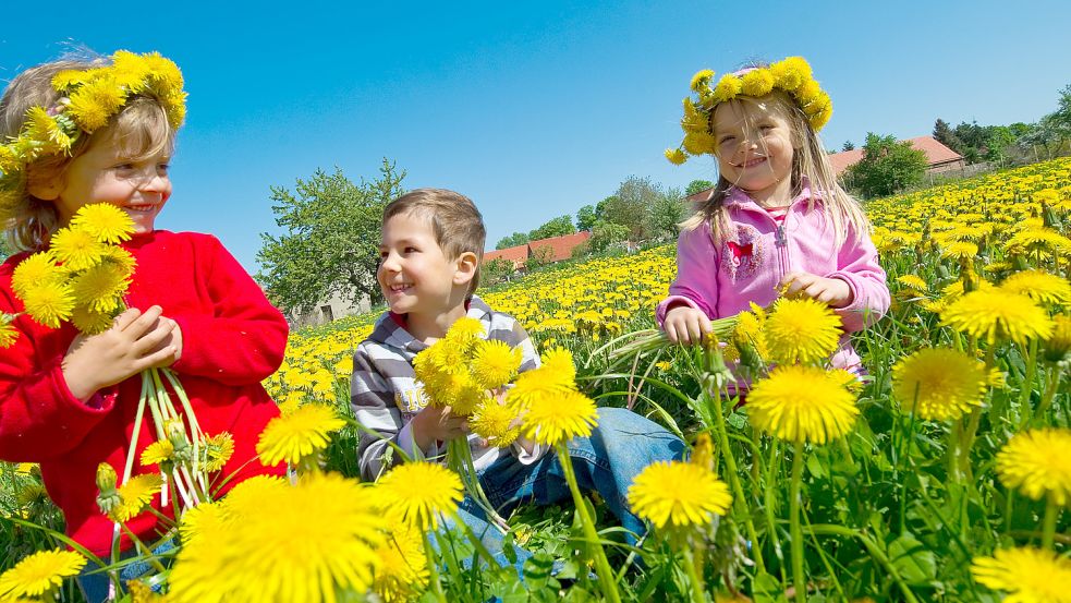 Blumenkinder Foto: dpa-Zentralbild