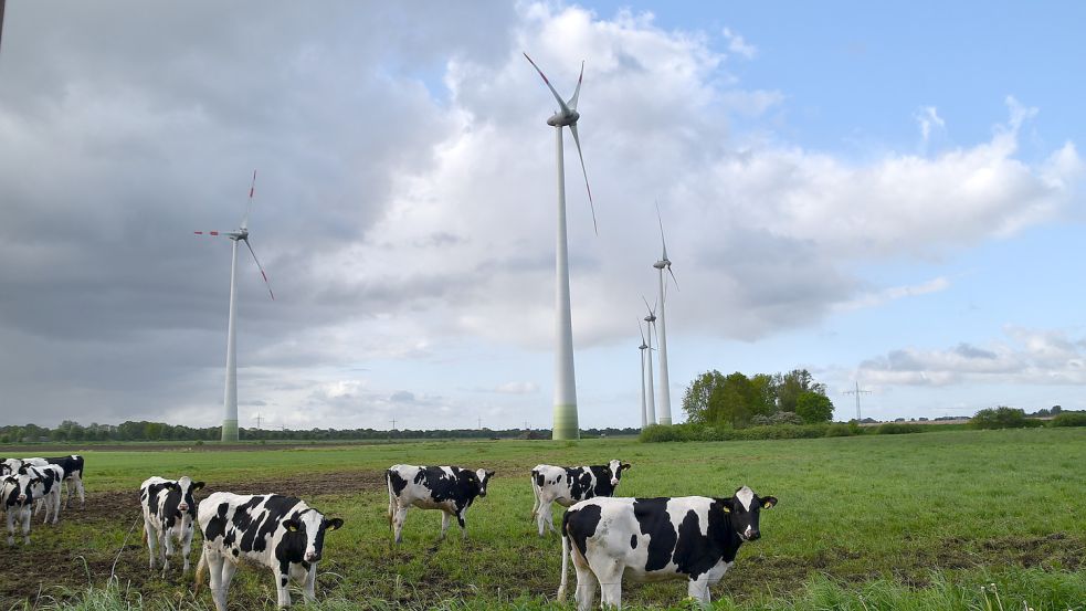 Bislang gibt es nur an der Fehnstraße bei Steenfelderfehn Anlagen in einem bereits ausgewiesenen Windpark-Gebiet. Dort stehen sieben Anlagen. Foto: Ammermann