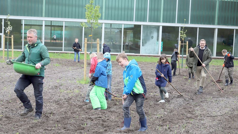 Unter fachmännischer Anleitung von Stephan Wiemken (links) wurde das Saatgut eingesät. Die Schüler der Soeste-Schule und Barßels Bürgermeister Nils Anuth (2. von rechts) griffen zur Harke. Foto: Passmann