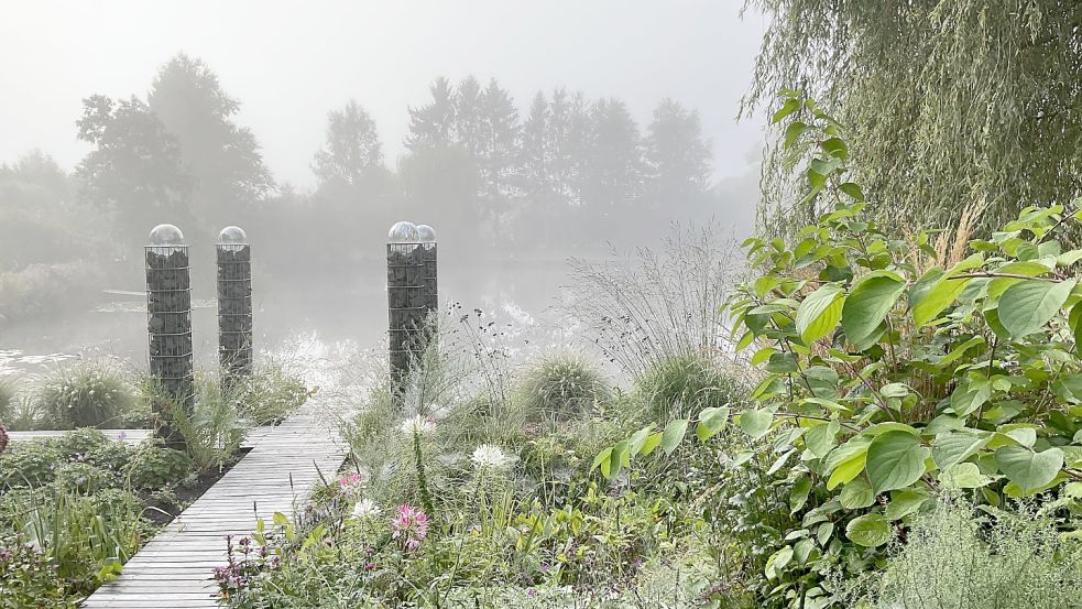 Im Wassergarten in Ostrhauderfehn blüht es bereits vielerorts. Foto: Privat